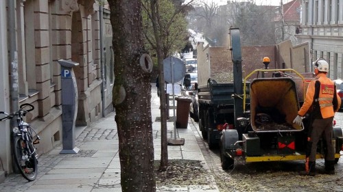 Baumfresser auf der Sebnitzer Straße