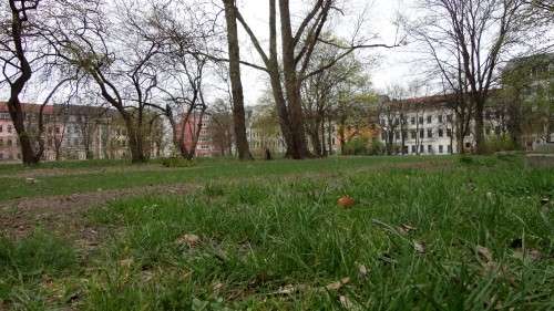 In der Südost-Ecke wächst das Gras