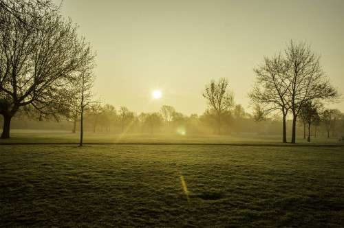 Der Alaunplatz - Foto: Marc McLovin