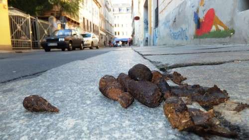 Ein seltenes Wurstexemplar, gesichtet auf der Martin-Luther-Straßeq