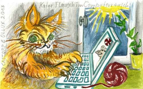 Kater Flausch im Computerrausch