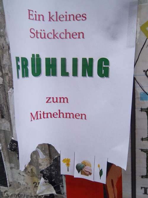 Frühling zum Mitnehmen!