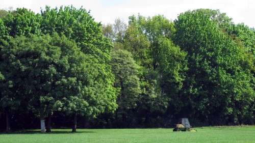 Der Rasenmäher-Fahrer zog über einen sauberen Alaunplatz seine Kreise.