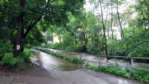 Der Waldweg entlang der Prießnitz in die Heide ist nur noch mit hohen Gummistiefeln begehbar.