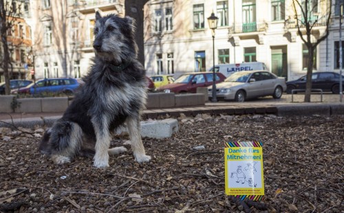 Er kann zwar nicht lesen, hielt sich aber trotzdem dran. Die Wurst im Vordergrund stammt vom Vorgänger. Foto: Marc Dietzmann