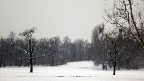 Das weiße Deckchen auf dem Alaunplatz ist dünn, reicht es zum Skispringen?