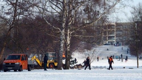 Schneidarbeiten auf dem Alaunplatz