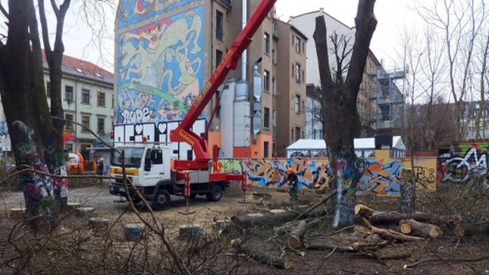 Schnurbäume am Lehrerparkplatz werden gefällt.