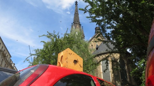 Platz mit Aussicht - das Völkchen hatte sich im Schatten der Martin-Luther-Kirche angesiedelt.