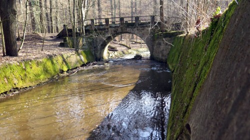 Bläschenbildung in der Prießnitz an der Brücke zum Neuen Brückenweg