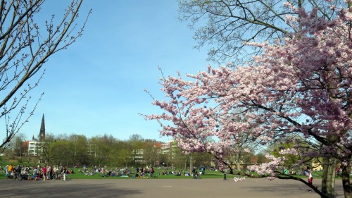 Alaunplatz am Sonntag Nachmittag