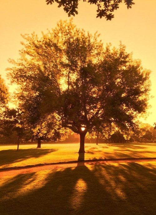 Alaunplatz im Morgenlicht ... danke an Fabian für das Foto.