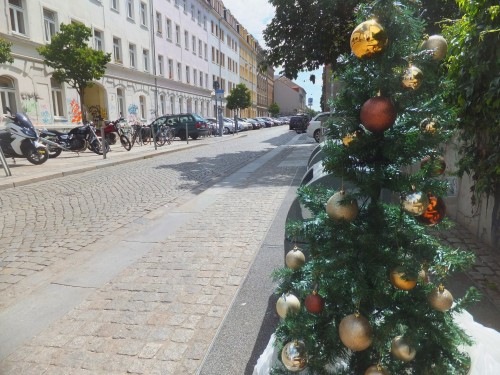 Weihnachtsbaum auf der Sebnitzer