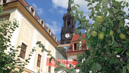 Mit Birnenbäumen im Garten - das Societaetstheater