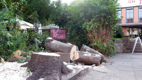 Nur der Stumpf und ein paar Holzstücke künden vom ehemals größten Schattenspender des Platzes.