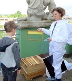 Bienen im Romain Rolland Gymnasium Imkerin Uta Tomczak erklärt den Aufbau des Bienenhauses.