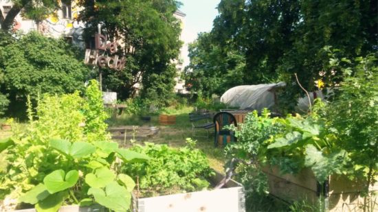 Hechtgrün: Der Gemeinschaftsgarten "Hechtgrün" am Bischofsplatz wird Freitag Abend zum Tanzlokal