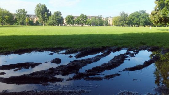 Später verwandelte sich dann der Alaunplatz in eine Teichwirtschaft. Erste Karpfen sollen gesichtet worden sein.