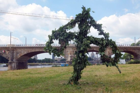 Das Unwetter brachte den Samen für ganz neue Bäume mit.