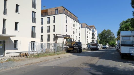 Bäume für Erna-Berger-Straße: Neue Bäume für die Erna-Berger-Straße.