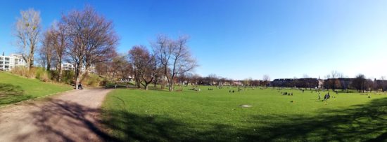 Sommerlicher Alaunplatz