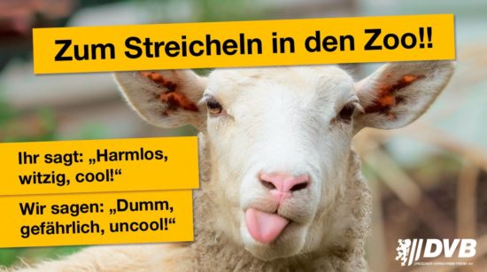 Streicheln? Bitte im Zoo. Plakat: DVB