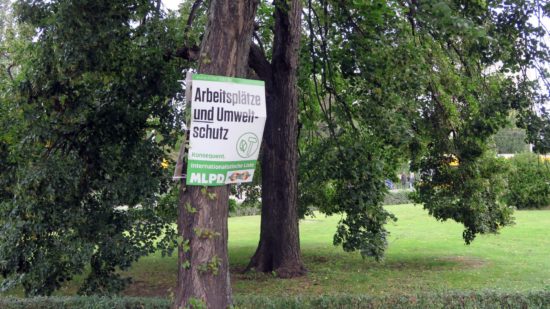 Plaste-Plakat am Baum am Albertplatz