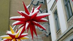 winterlicher Weihnachtsstern