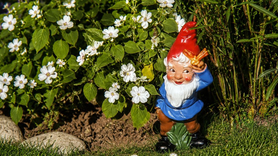 Gartenzwerg im Hinterhof - Foto: Anton Launer