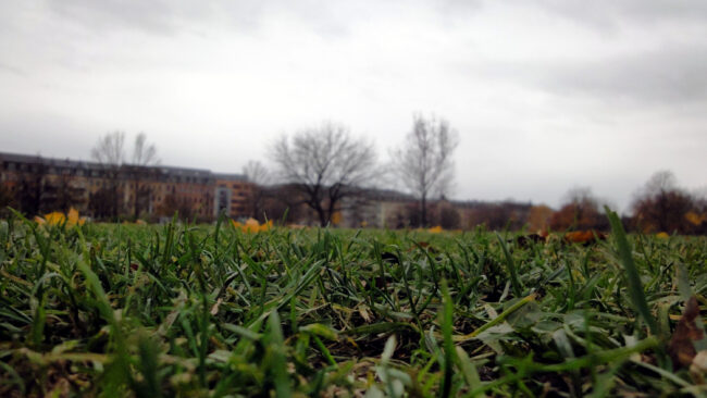 Ganz schön leer im Herbst, der Alaunplatz