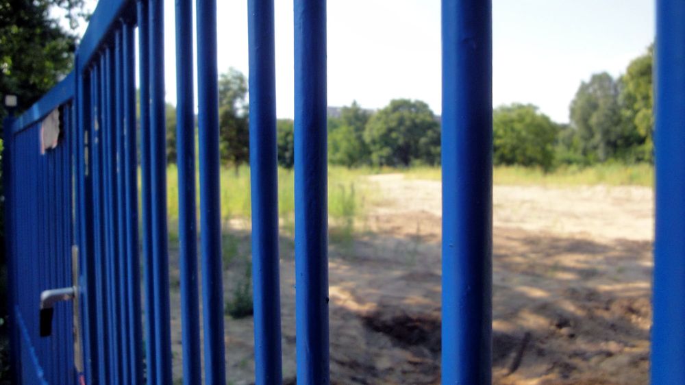 Das blaue Eingangstor erinnert an die alte Kita und verwehrt den Zutritt zum Unkrautwald. Foto: Anton Launer