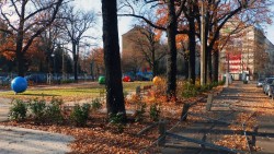 Bischofsplatz mit ohne Zaun.