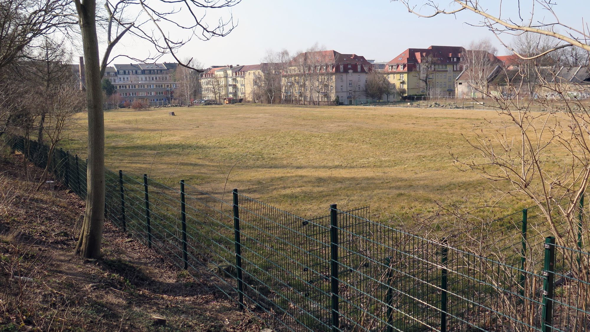 Der Russensportplatz am Morgen - beruhigend grün und eingezäunt.