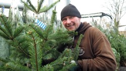 Weihnachtsbäume im Alten Heizhaus