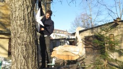 Gitarrenbauer Jost von Huene schmückt schon mal den Baum.