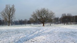 Der Alaunplatz zeigt sich winterlich schick. Doch die Ski-Flieger wollen noch nicht.