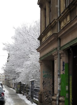 An der Kamenzer Straße.