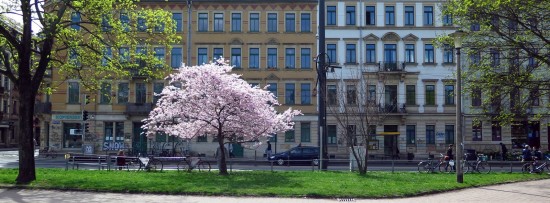 Alaunplatz im April