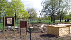 Neuer Stadtgarten, Einweihnung am Sonnabend