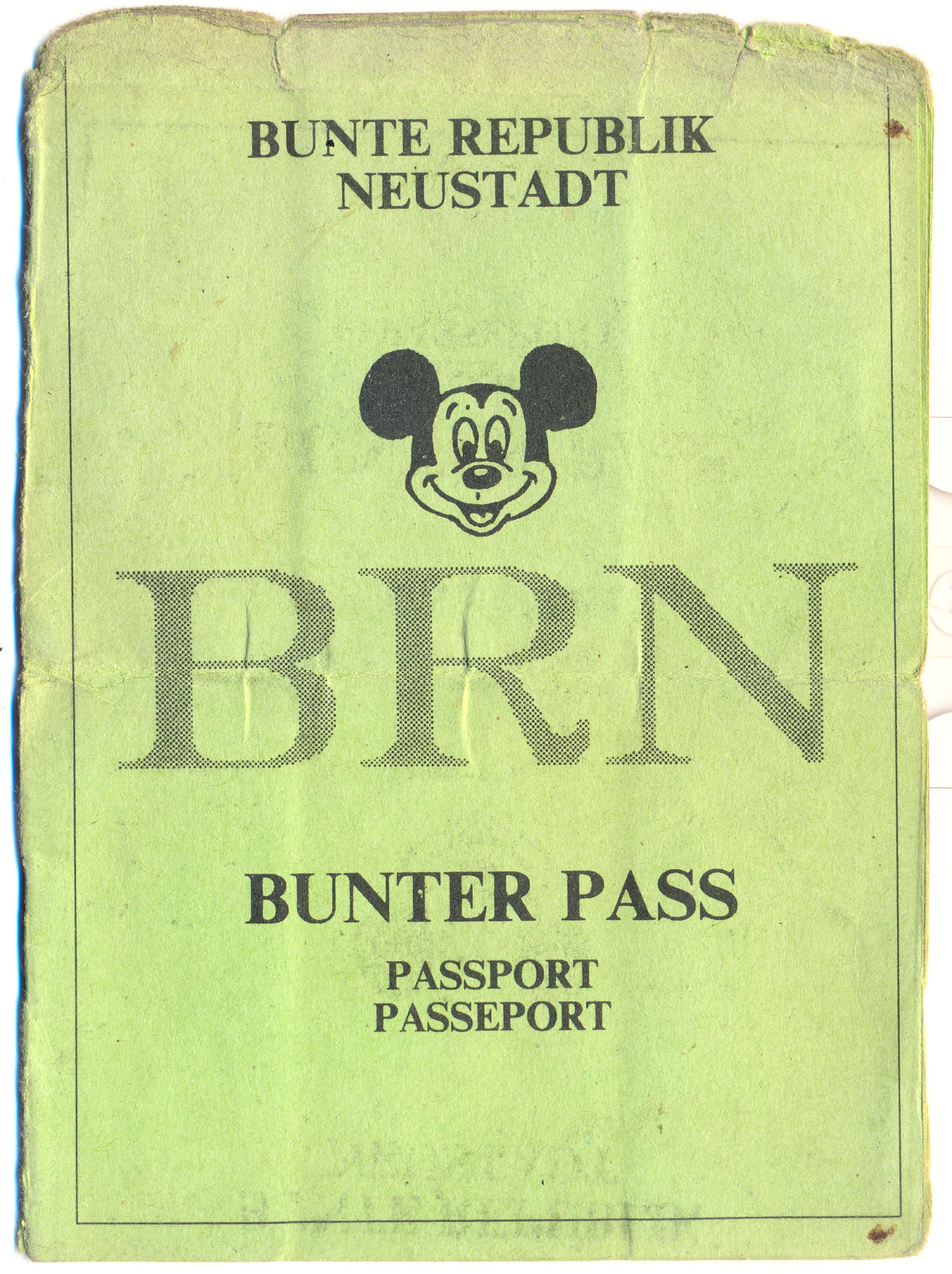 BRN-Pass 1991