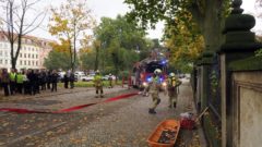 Feuerwehrleute im koordinierten Einsatz.