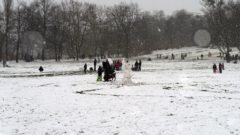 Schnemann baun und Schneeballschlacht ... auf dem Alaunplatz