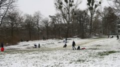 Rodel gut? Naja, eher Gras rutschen.