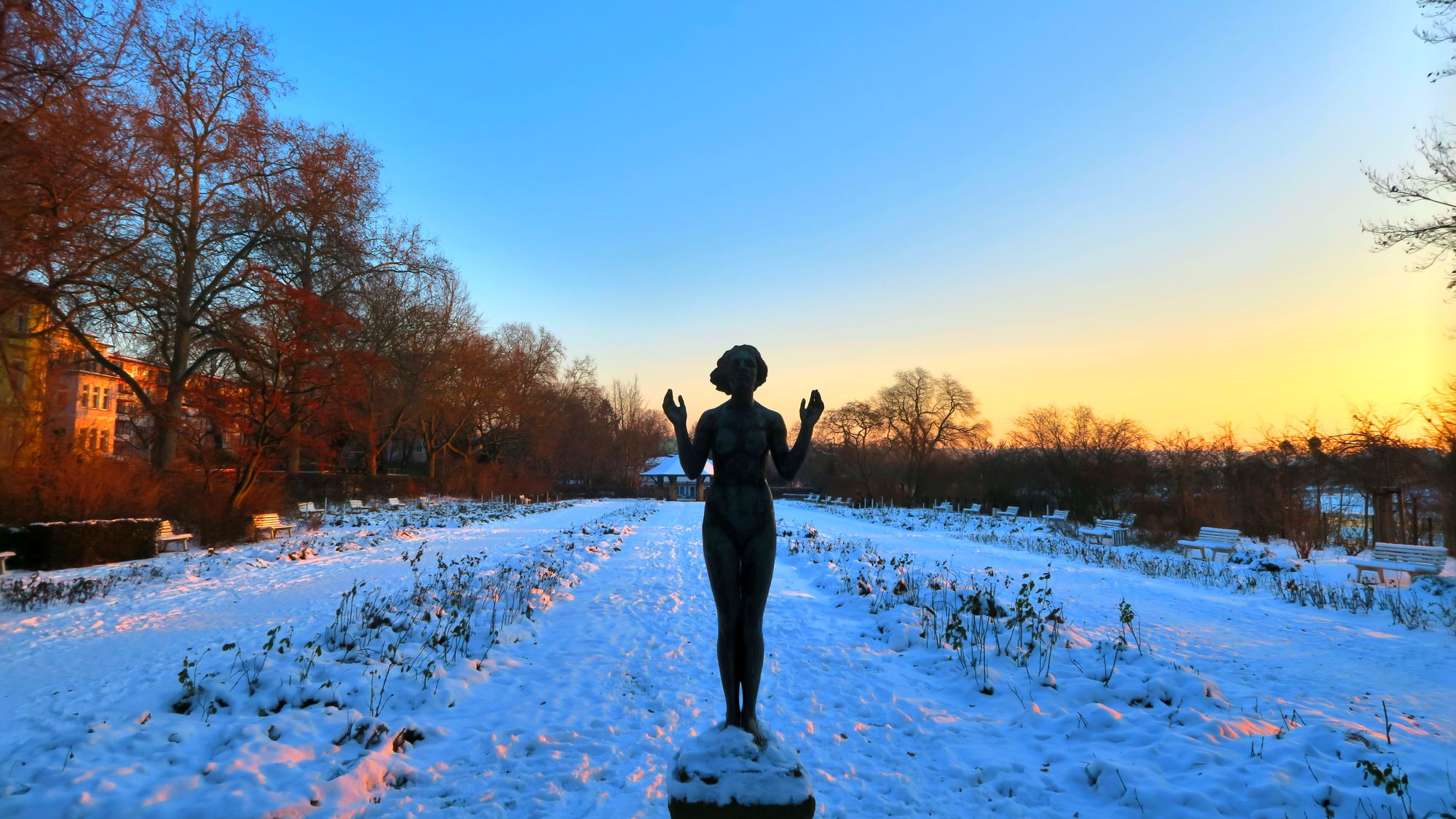 Morgendliche Bläue liegt über dem verschneiten Garten.