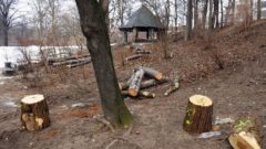 freier Blick auf die Hütte an den Tischtennis-Platten