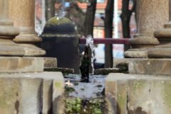 Sprudelt nur noch mickrig - Artesischer Brunnen am Albertplatz.