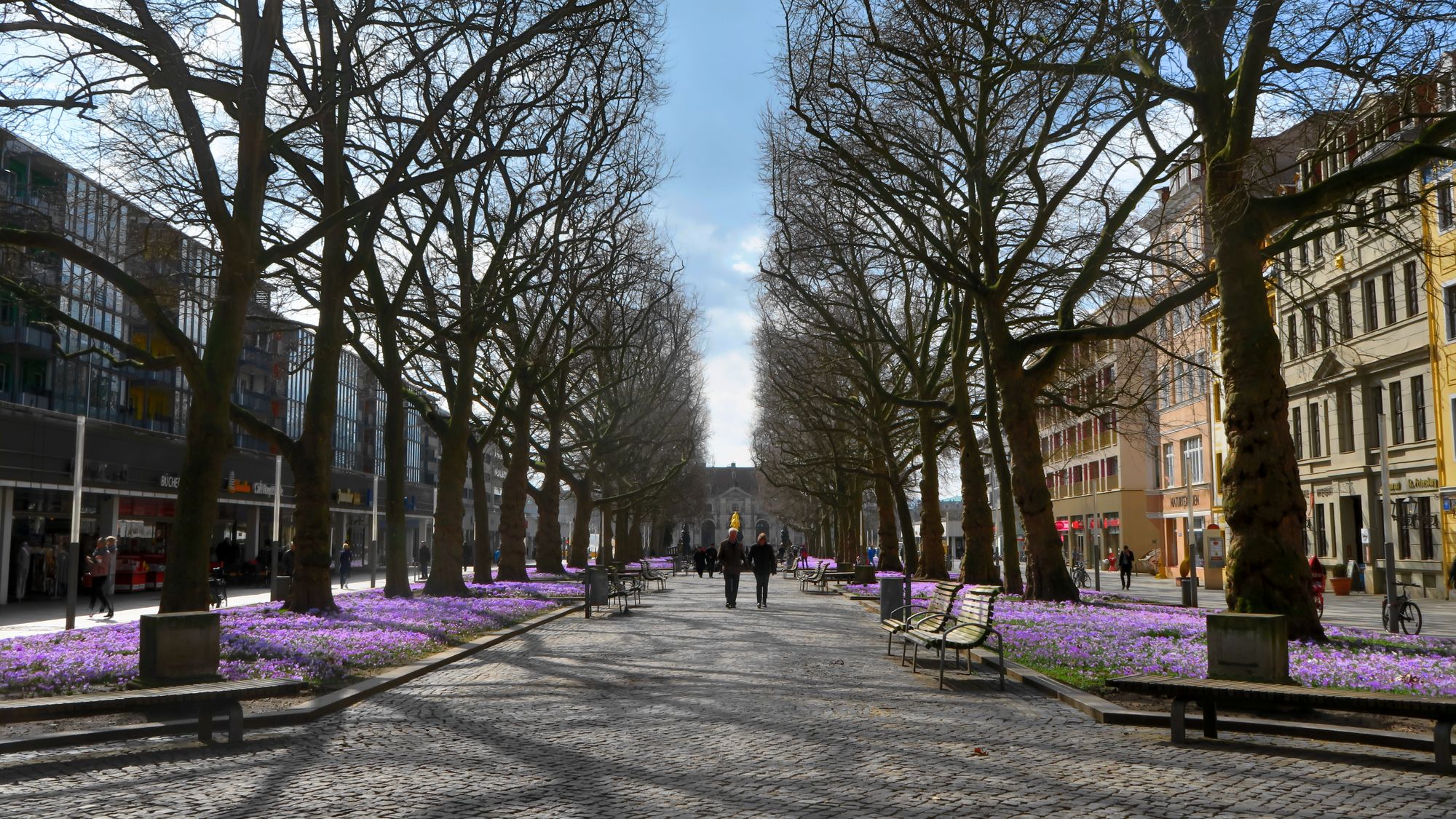 Pracht-Promenade mit Blick auf Pferdehintern.