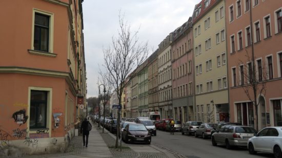 Befallene Weißdorn-Bäume auf der Hechtstraße