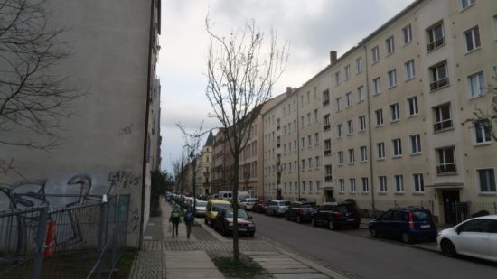 Befallene Weißdorn-Bäume auf der Hechtstraße