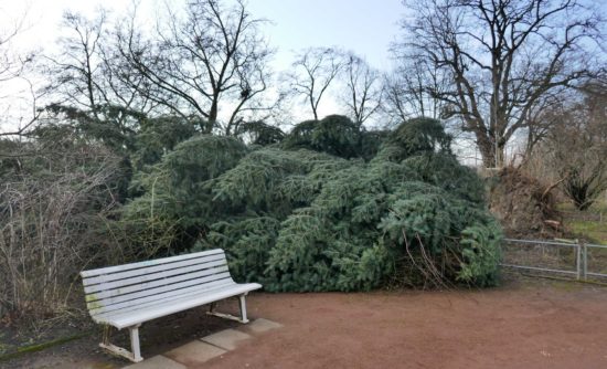 Im Rosengarten wird derzeit aufgeräumt. Achtung - die Wälder dürfen nicht betreten werden.